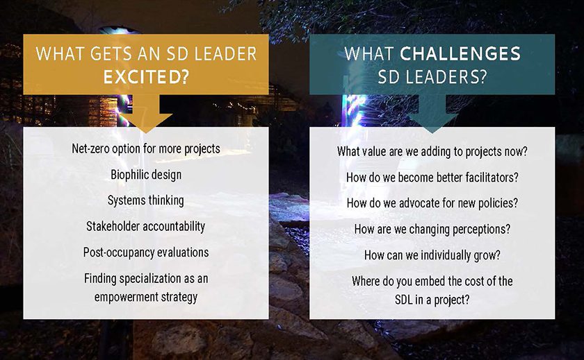what excites an SD leader vs. what challenges an SD leader