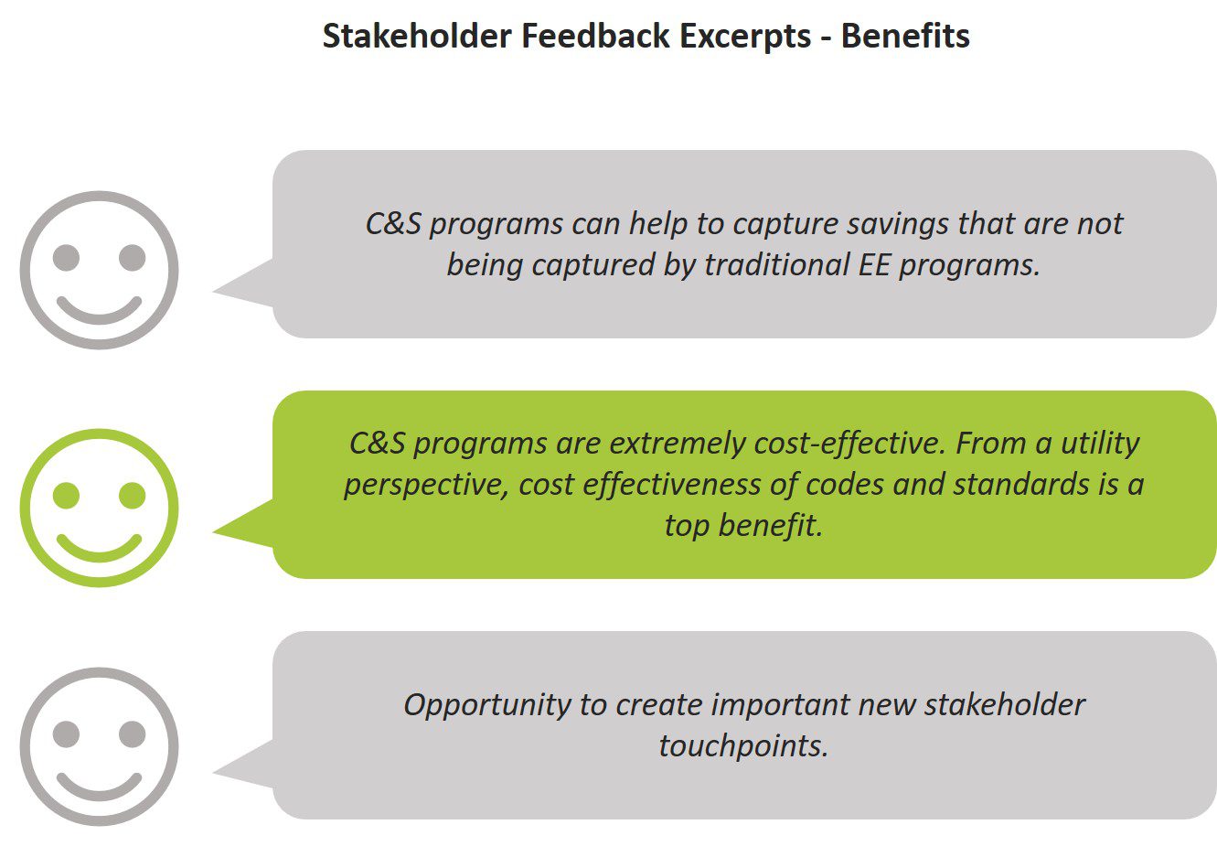 Stakeholder Feedback Excerpts