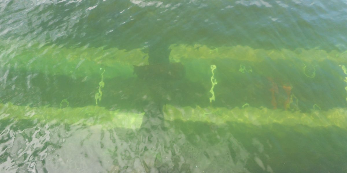 Sunken casson