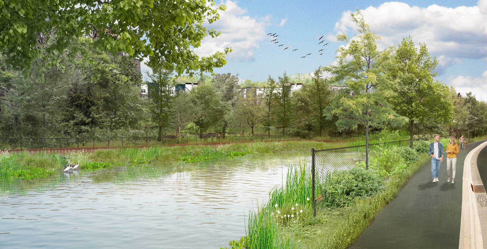 Pond rendering